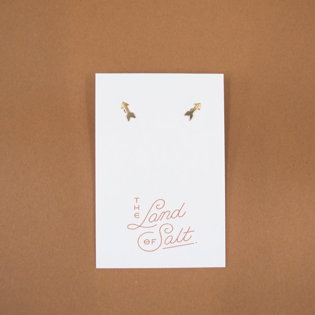 Tiny Arrow Stud Earrings in Brass